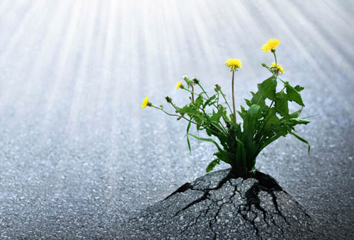 Emotion Center - Ypiresies - FightStress